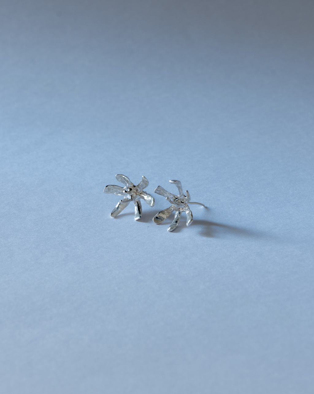 The Blossom
