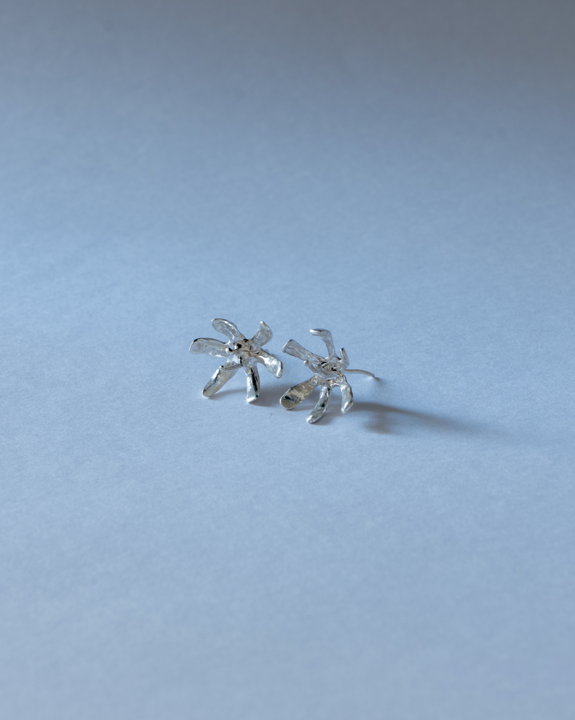 The Blossom